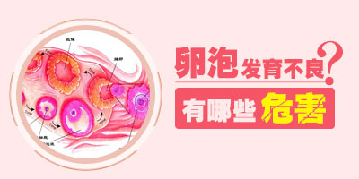 卵泡发育不良会有什么危害