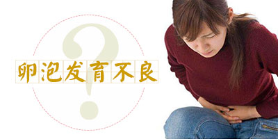 卵泡发育不良怎么办